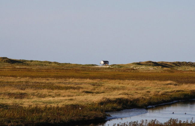 Reihenhaus, St. Peter - Ording - Foto 17