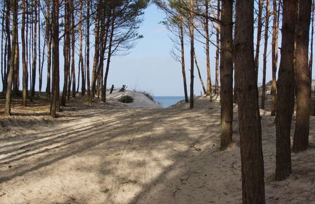 Cottage in Mielenko Near Seaside Beach - Foto 23