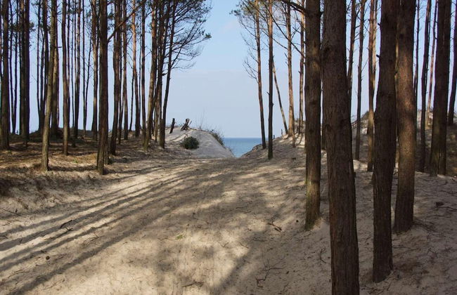 Cottage Near Mielenko Beach and Lake Jamno - Foto 19