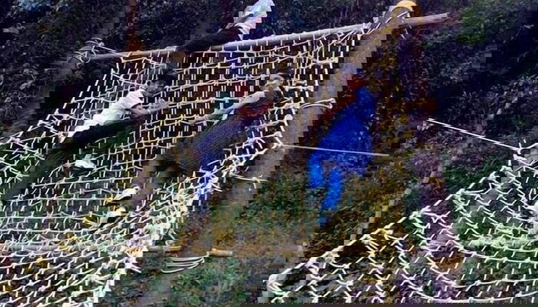 Foto 1 - Hail Himalayas