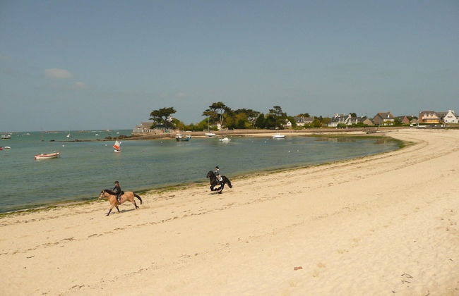 Holiday Home in Plouneour Near Sandy Beach - Foto 25