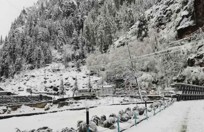 Aikyam Cottages and Camps - Foto 24