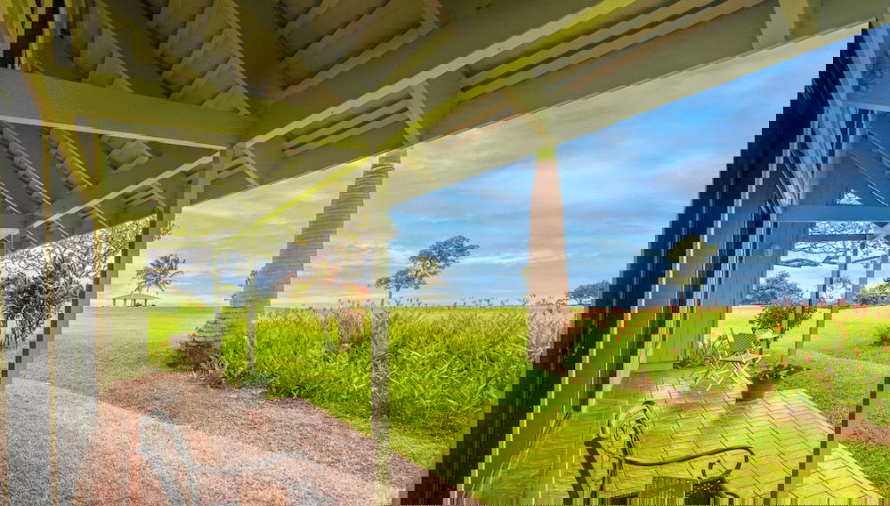 Image principale