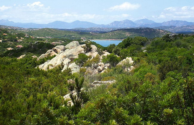 Apartment in Monte Petrosu Near San Teodoro - Foto 21