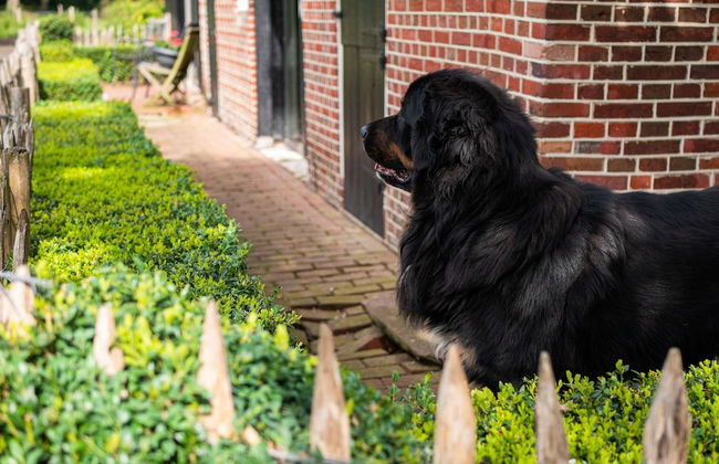 Cozy Apartment in Enschede Near Forest - Foto 68