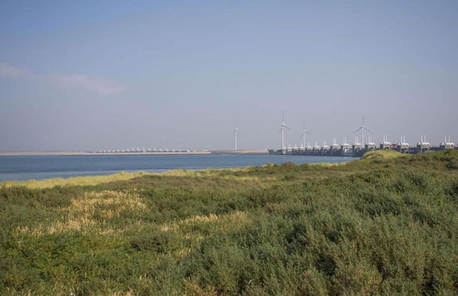 Lovely Holiday Home in Kattendijke Near Centre - Foto 76