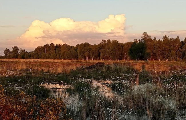 Holiday Home in Geesteren With Roof Terrace,garden Furniture - Foto 80