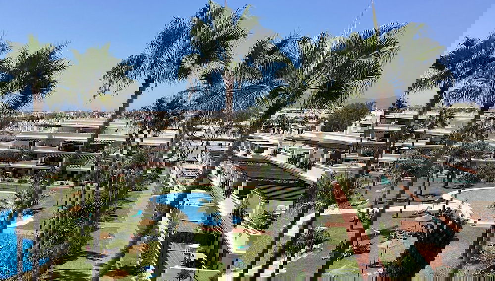 Primary image