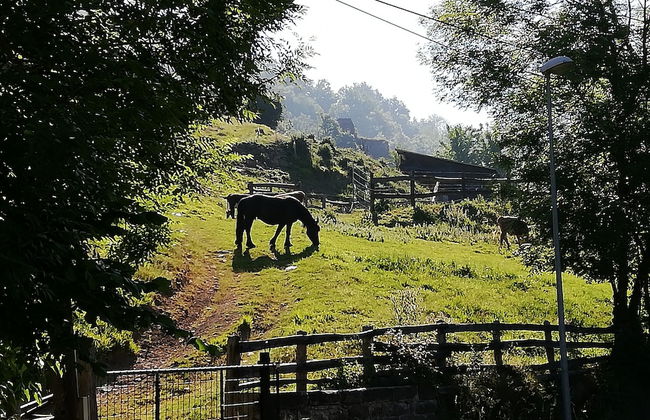 El Lagar - Foto 16