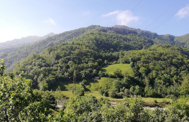 El Lagar - Foto 21