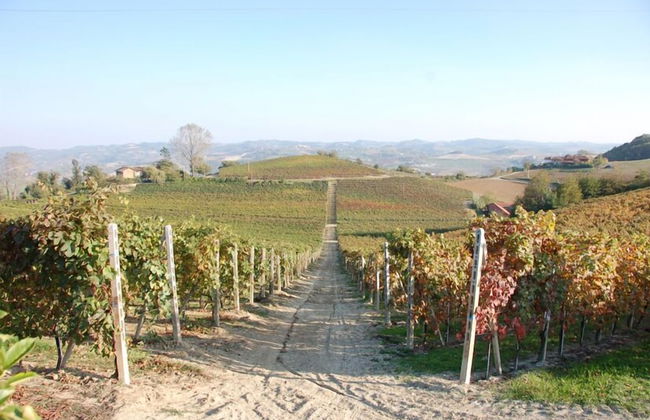 Agriturismo Bric di Gai - Foto 22
