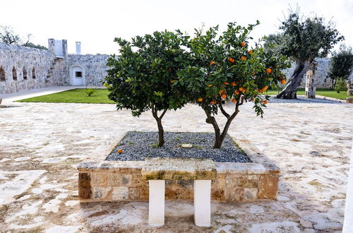 Photo 80 - Masseria Ayroldi