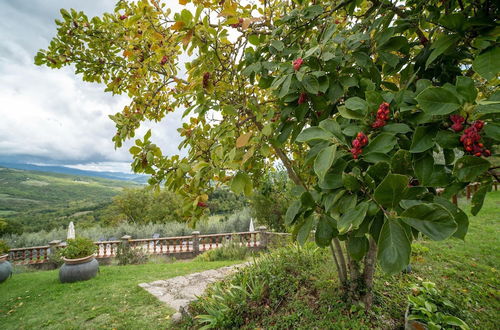 Photo 21 - Historic Farmhouse in Caprese Michelangelo With Pool