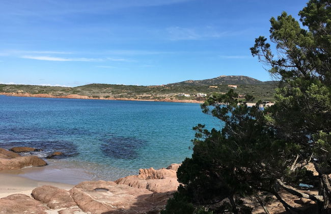 Affittimoderni Isola Rossa Élite - Pati15 - Photo 24