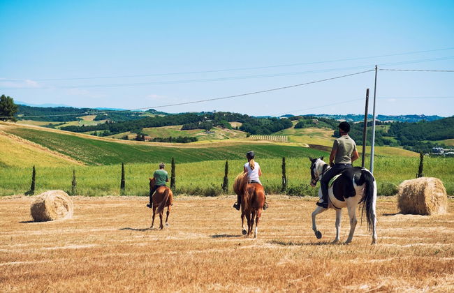 Agriturismo Podere Diacceroni - Foto 44
