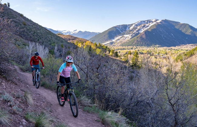 Hayden Lodge by iTrip Aspen Snowmass - Foto 46