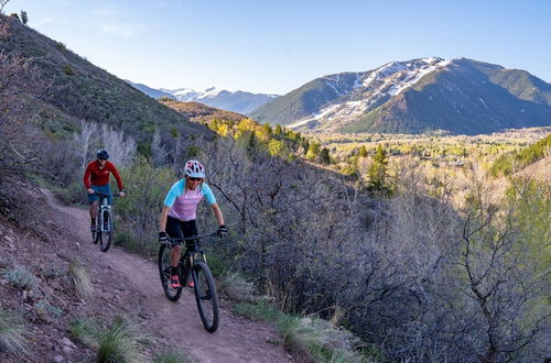 Foto 49 - Miners Trail Road Home by iTrip Aspen Snowmass