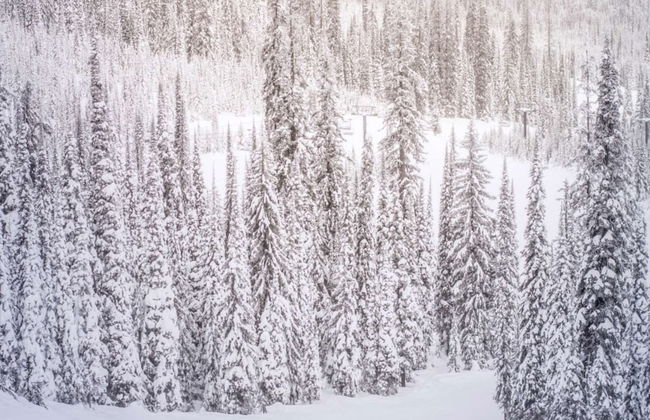 Hayden Lodge by iTrip Aspen Snowmass - Foto 45