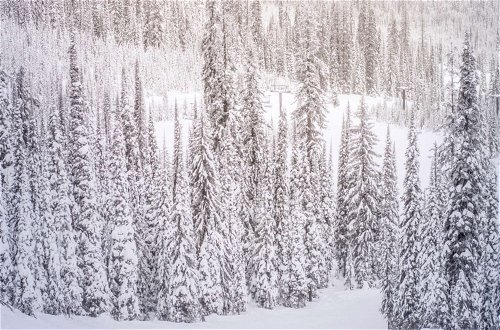 Foto 67 - Aspenwood by iTrip Aspen Snowmass