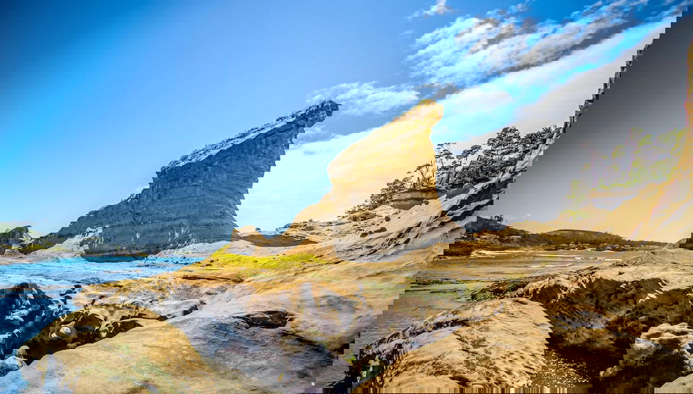 Image principale