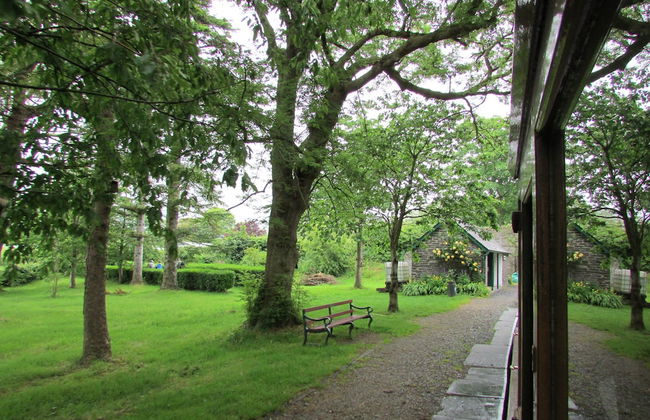 Clustiau'r Mor - Foto 34