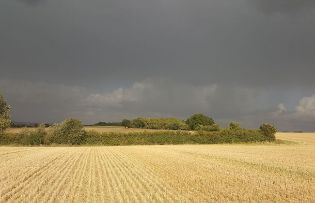 Coldham Cottages - Foto 14
