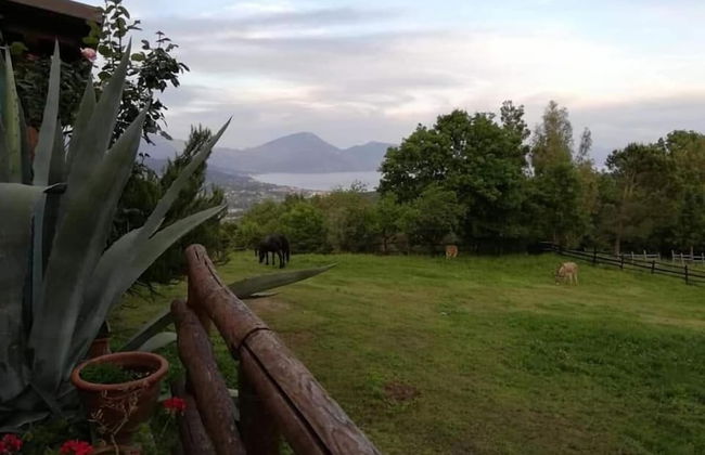 Il Rifugio del Contadino Country House - Foto 34