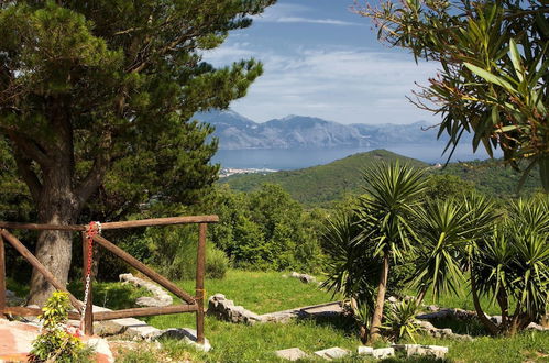 Foto 54 - Il Rifugio del Contadino Country House