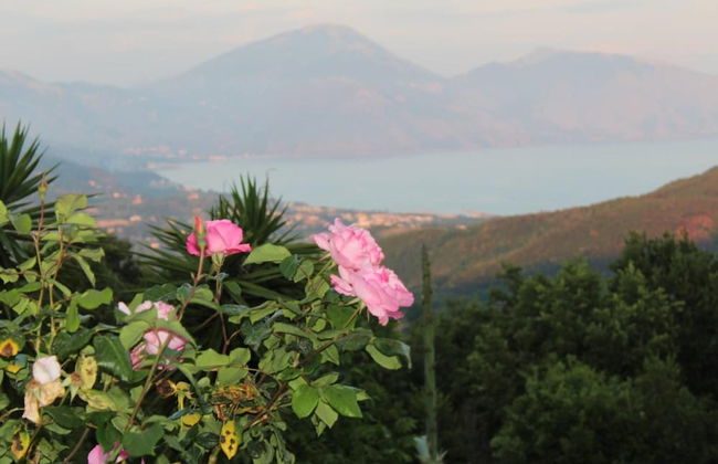 Il Rifugio del Contadino Country House - Foto 41