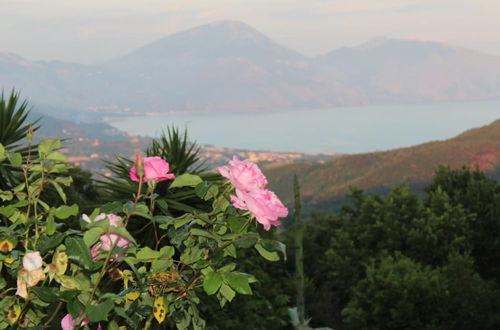 Foto 41 - Il Rifugio del Contadino Country House