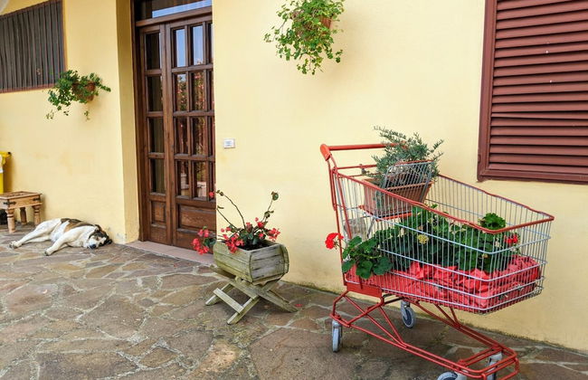 Il Rifugio del Contadino Country House - Foto 6