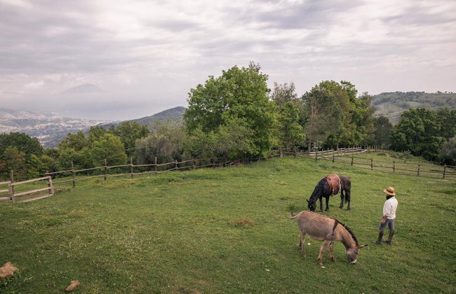 Il Rifugio del Contadino Country House - Foto 35