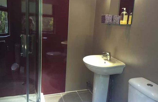 Cwm Irfon Lodge Cottages - Foto 21