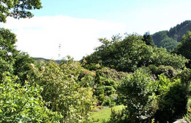 Cwm Irfon Lodge Cottages - Foto 33