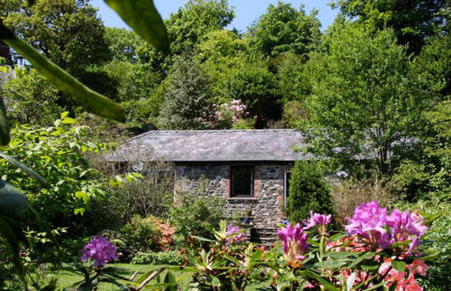 Cwm Irfon Lodge Cottages - Foto 26