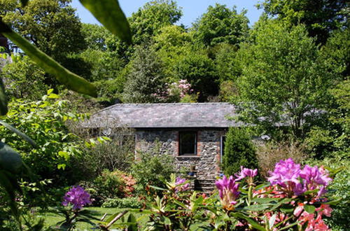 Foto 26 - Cwm Irfon Lodge Cottages