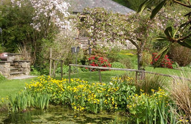 Cwm Irfon Lodge Cottages - Foto 29