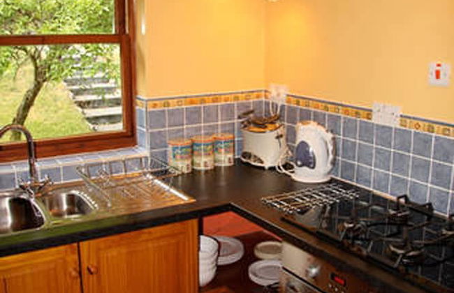 Cwm Irfon Lodge Cottages - Foto 11
