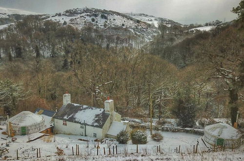 Photo 46 - Hapus Yurt - Two Beautiful Yurts and Barn Cottage