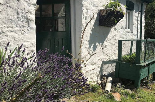 Photo 43 - 2 Luxury Yurts & Barn Kitchen Big Garden- Sleeps 9