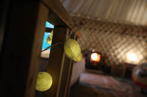 Photo 33 - Hapus Yurt - Two Beautiful Yurts and Barn Cottage