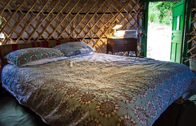Hapus Yurt - Two Beautiful Yurts and Barn Cottage - Foto 6
