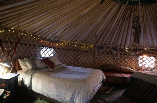 Photo 18 - 2 Luxury Yurts & Barn Kitchen Big Garden- Sleeps 9