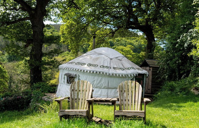 Hapus Yurt - Two Beautiful Yurts and Barn Cottage - Foto 43