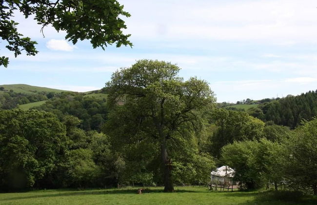 Hapus Yurt - Two Beautiful Yurts and Barn Cottage - Foto 39