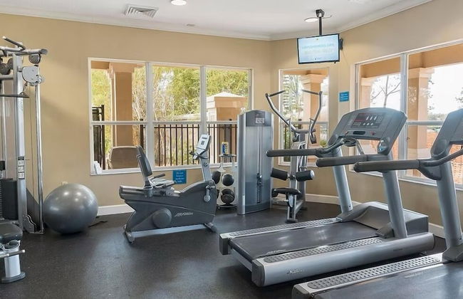 Olaf's Endless Summer - Foto 23