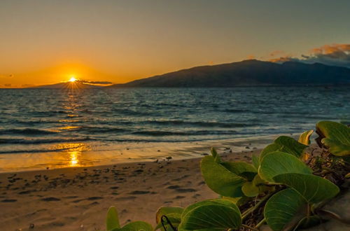 Photo 57 - Maui Sunset by VTrips