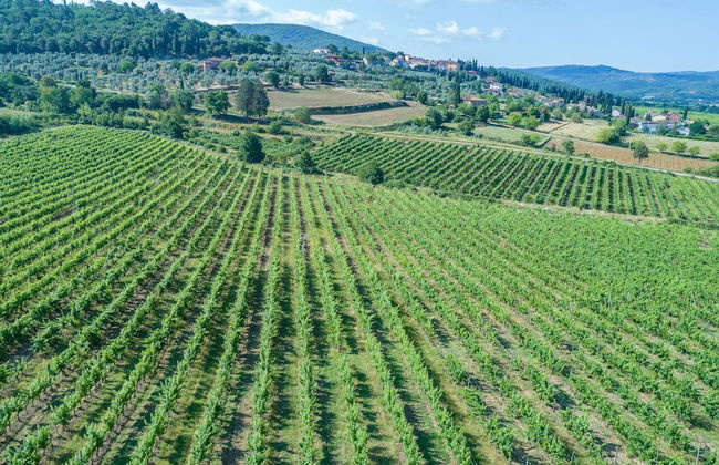 Tenuta La Pieve Casale Il Giglio - Foto 54