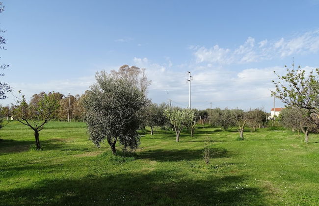 Agriturismo Podere 1248 - Foto 27