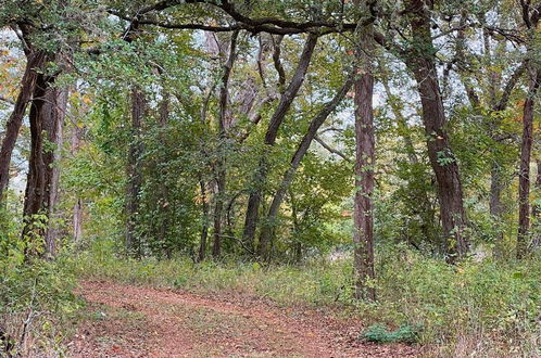 Foto 41 - 19 Son's Rio Cibolo - Birdhouse Cabin